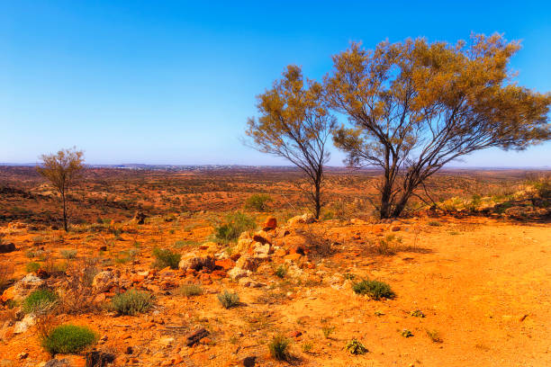 istock BH Garden Trees to city 1439316872