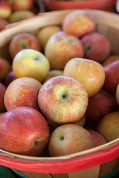 Fresh red braeburn apples displayed in wooden baskets at a farmer's market in the autumn.