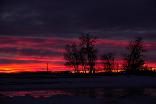 istock Colorful sunset in prairies with bare winter tree silhouettes. 1439322155