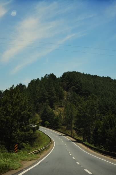 istock Road to South II 1439322984