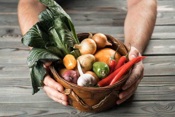 Wicker basket with different fresh farm vegetables on gray wooden table. Human hands hold box full of ripe harvest. Food or healthy diet concept. Vegetarian. Nitrate free nutrition. Planking. cesta de mimbre con diferentes verduras frescas de granja sobre mesa de madera gris. las manos humanas sostienen una caja llena de cosecha madura. concepto de alimentación o dieta saludable. vegetariano. nutrición libre de nitratos. tablazón