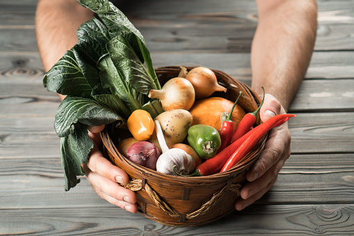 Wicker basket with different fresh farm vegetables on gray wooden table. Human hands hold box full of ripe harvest. Food or healthy diet concept. Vegetarian. Nitrate free nutrition. Planking.