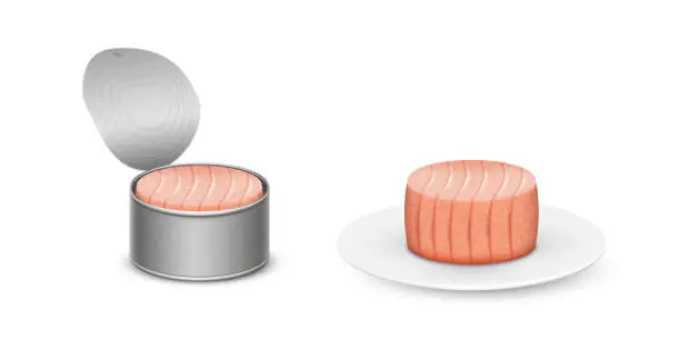 Vector illustration of Canned tuna in metal can or on plate. Cooked fish meat for salad or dish cooking. Tasty ingredient