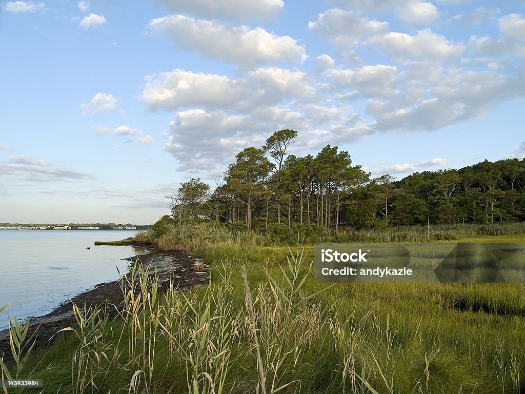 Les zones humides - Photo de Ocean City - Maryland libre de droits