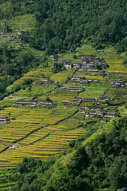 Nepalese village at Annapurna Region stock photo