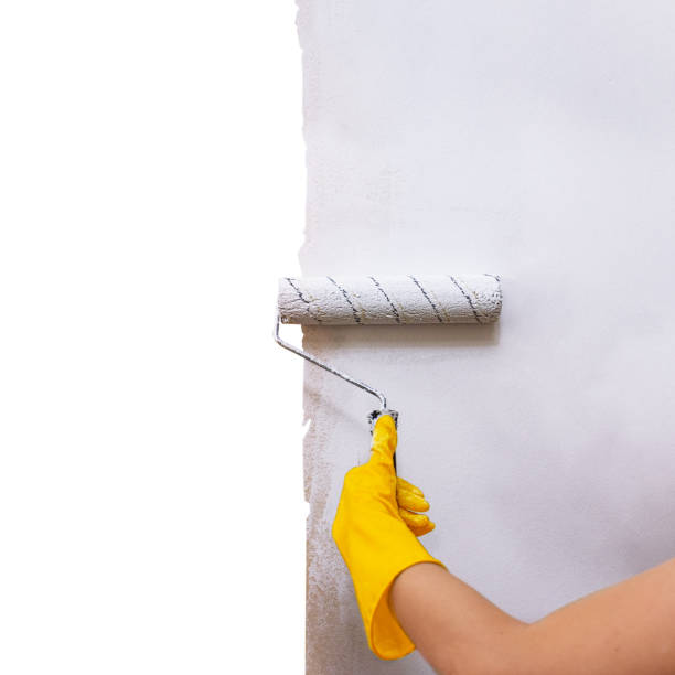 istock painting the walls with a roller, home repairs 1439356176