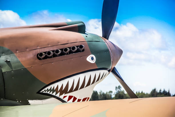 istock Flying Tiger Curtiss P-40C WWII Fighter with Shark Teeth 1439358855