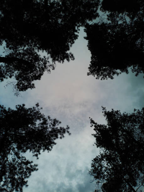 MOJOKERTO, INDONESIA : View of the sky in Dlundung in the morning. Feels very peaceful and mysterious at the same time. Plus the gripping cold temperature. October 21, 2022