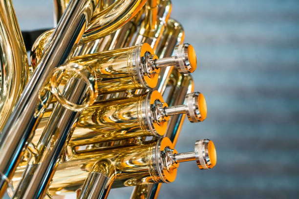 brass instrument detail：Horn finger button
