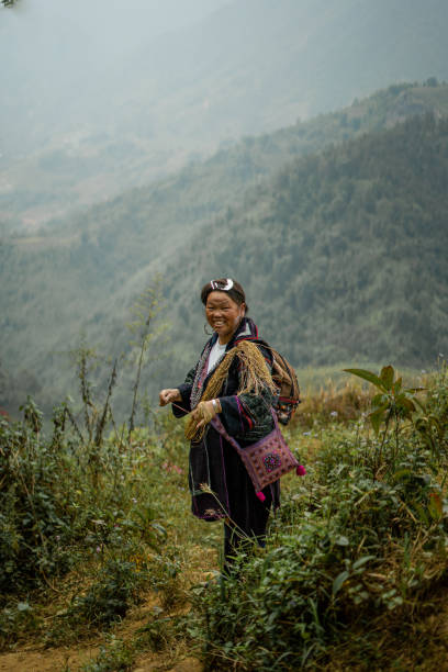hill tribe woman sapa, vietnam - choicesea 個照片及圖片檔