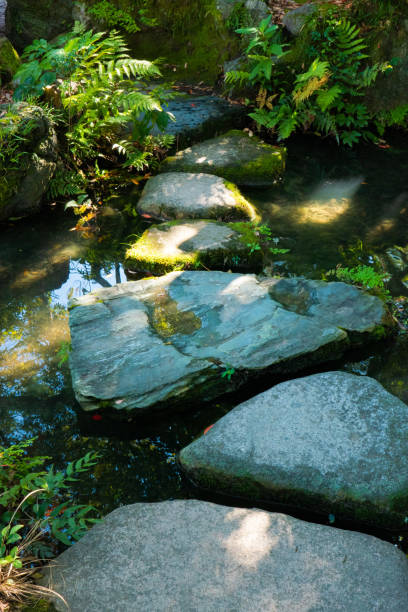 istock Nature in public park 1439373866