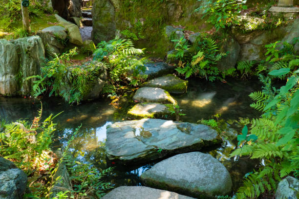 istock Nature in public park 1439373912