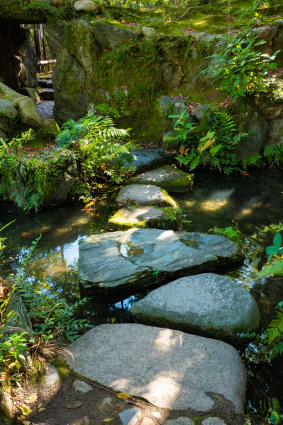 istock Nature in public park 1439373998