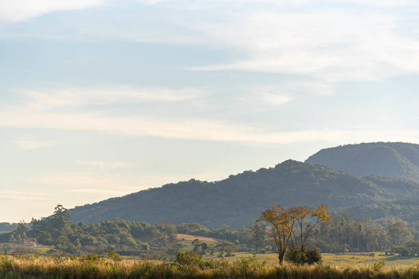Rural landscape in southern Brazil. Remains of Atlantic Forest. Peace and calm. Wallpaper. Nature and biodiversity.