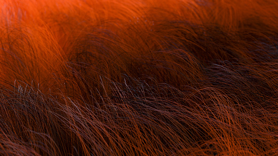 3D rendering of abstract colorful fur hairy background.