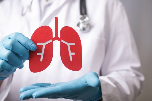 istock Doctor holding lungs icon-coronavirus concept 1439394174