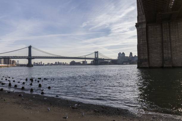 istock Brooklyn bride, New York city 1439395022