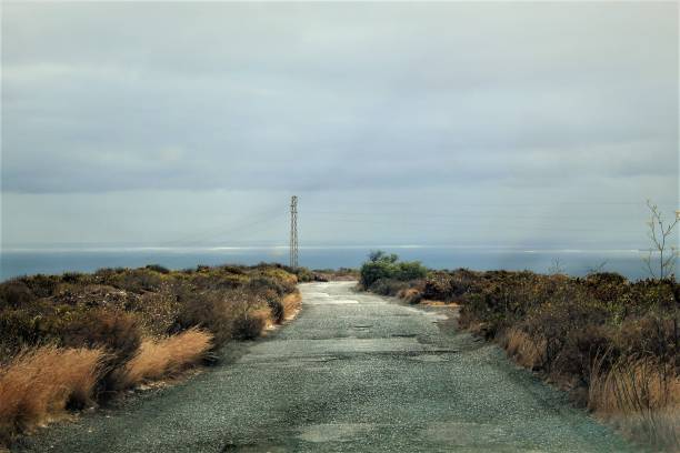istock Road leading to a sea with plantations on both sides under cloudy sky 1439395154