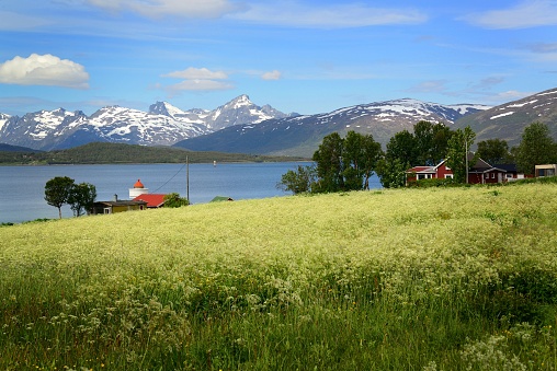A beautiful shot of a rural green field near water and snowy mountains in Tromso, Norway