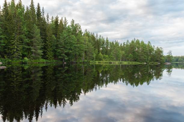 istock Beautiful lake Vanern surrounded by numerous pine trees, Sweden 1439395348