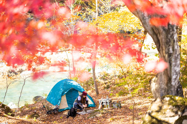 Female solo camping with her dog in colorful autumn forest stock photo
