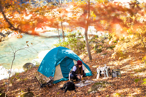 A mid age solo Japanese woman camping with her dog in a colorful autumn forest by a river.