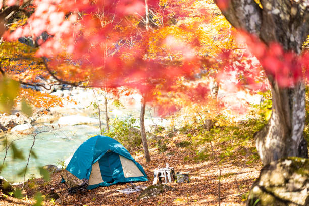 istock Tent camp scene in a colorful autumn forest by a river 1439398008