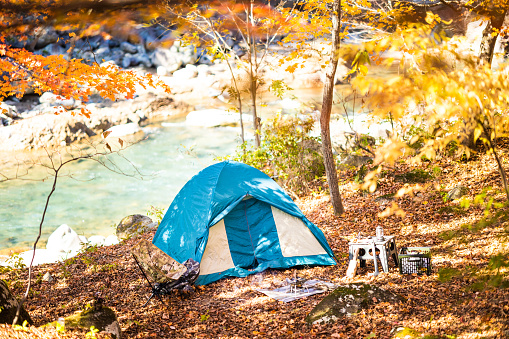 Camping on a bed of fall leaves with colorful maple trees all around by a river.