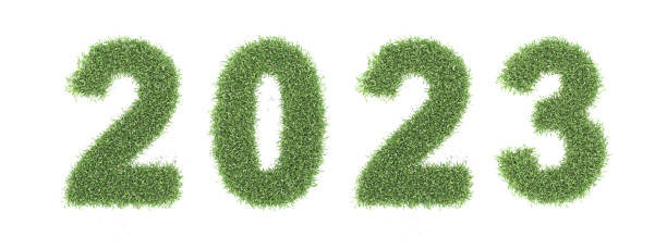 istock New Year 2023 Creative Design Concept with grass 1439406726