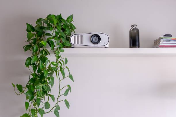 istock White screen projector put on a shelf with a plant and an empty vintage bottle next to it 1439410110