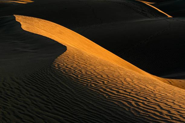istock Beautiful shot of sand dunes 1439410225