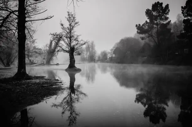 Photo of Grayscale shot of a pond rounded by trees in Galicia