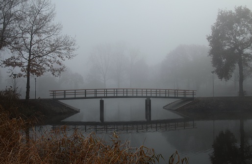 A wooden bridge in the park covered by dense fog