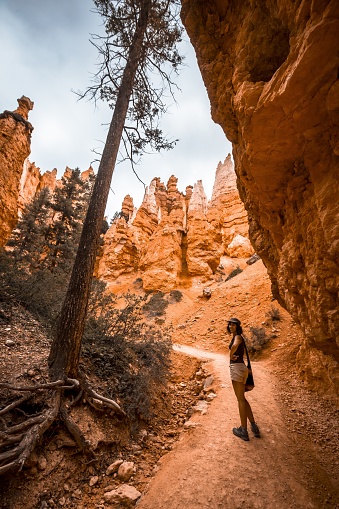 A vertical shot of a female hiker walking in the Bryce Canyon National Park in Utah, USA