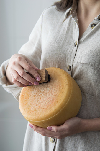 Head of hard cheese in female hands, cheese maker cleaning cheese. Selective focus. rustic