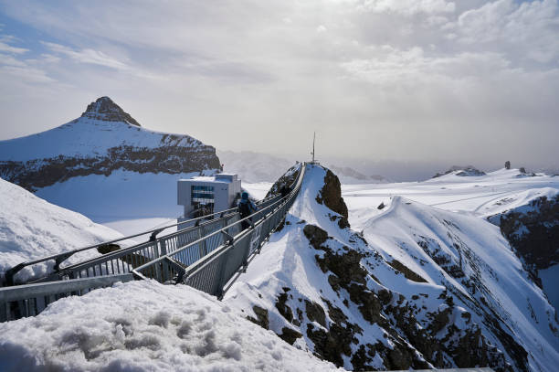 빙하 3000과 현수교 주변의 풍경, 스위스 - clear sky ski footpath snow 뉴스 사진 이미지