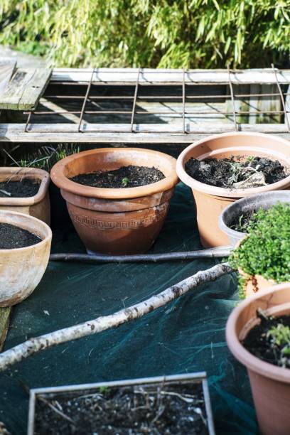 istock Vertical high angle shot of clay pots filled with soil 1439414998