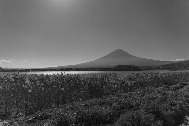 istock View of Mt Fuji from lake edge 1439417320
