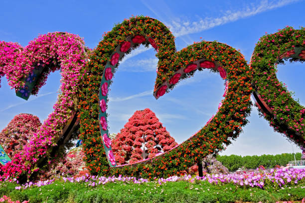 istock Hearts of Roses - Dubai 1439418158