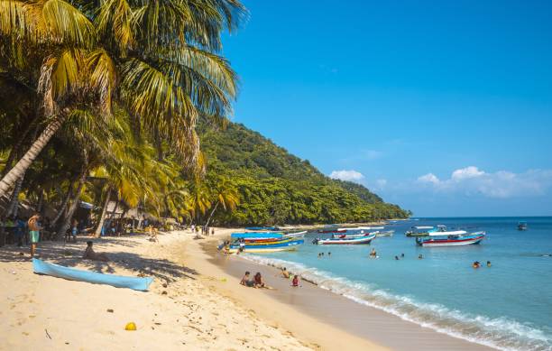 istock The Punta de Sal park 1439418285