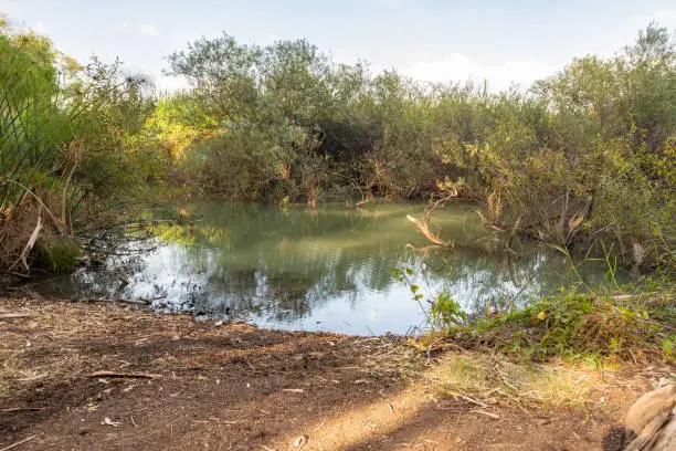 Photo of Nature  in the Mekorot HaYarkon Gan Leumi Yarkon, located near the city of Petah Tikva in the center of Israel