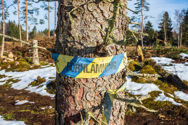 istock Warning sign for ancient memory for forestry in Swedish 1439431249