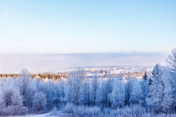 istock Frosty winter landscape view at a forest 1439431404