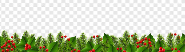 illustrations, cliparts, dessins animés et icônes de bordure de noël avec sapin et baie de houx fond transparent - christmas tree christmas holly holiday