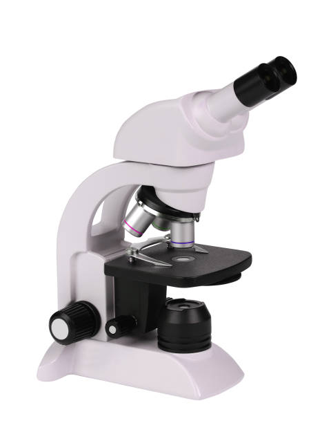 Microscope isolated on white stock photo