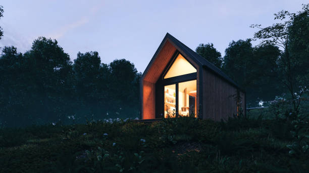 Modern Tiny House Exterior At Night Modern Scandinavian style wooden tiny house in forest at night. A new form of living philosophy to reduce ecological footprint. tiny house stock pictures, royalty-free photos & images