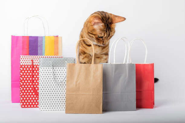 istock Domestic cat among multi-colored packages on a white background. 1439437025
