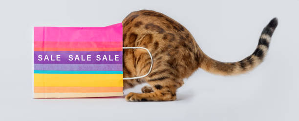 gatto in un sacchetto di carta colorata con la scritta sale su sfondo bianco. - domestic cat bag shopping gift foto e immagini stock
