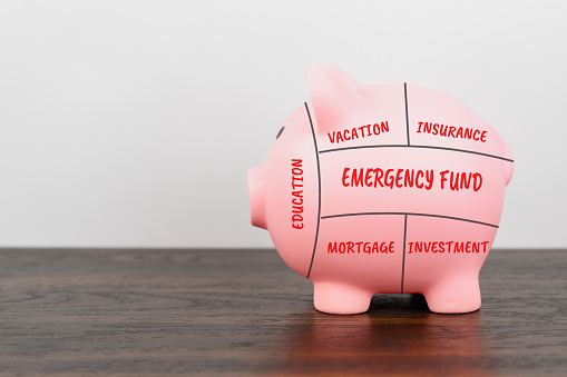 Pink piggy bank divided by different personal financial planning text