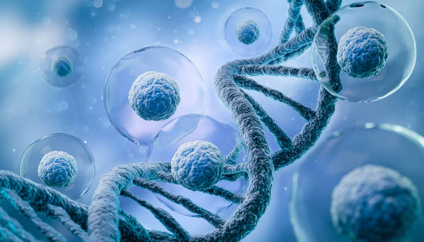 인간 세포 또는 배아 줄기 세포 현미경 배경의 3d 렌더링. - microbiology 뉴스 사진 이미지